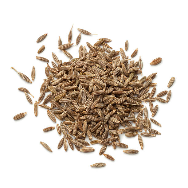 Cumin Seed bulk exporter in India